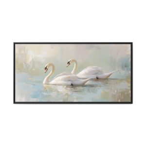 Lovely White Swans